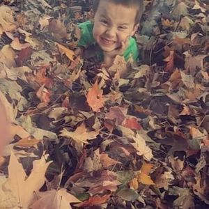 Meet your Posher, Roy